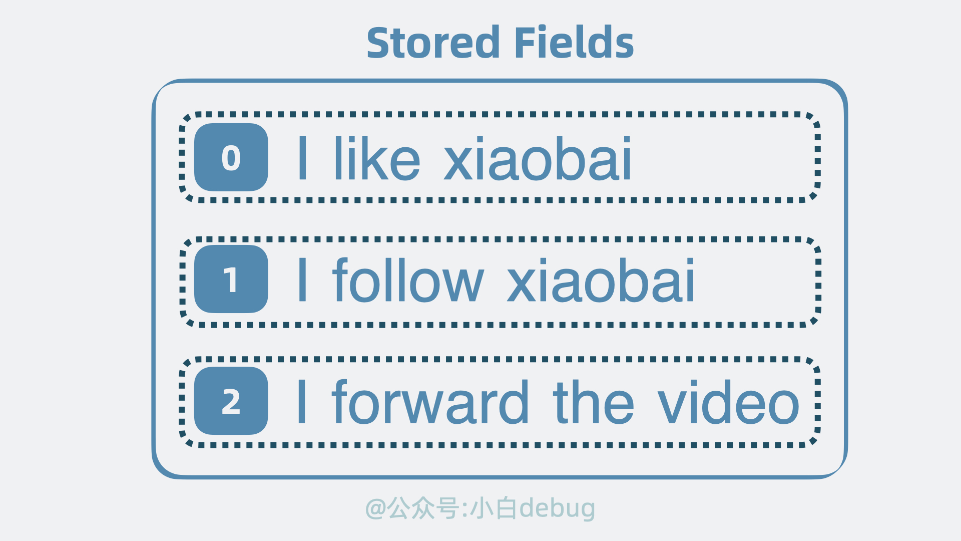 Stored Fields