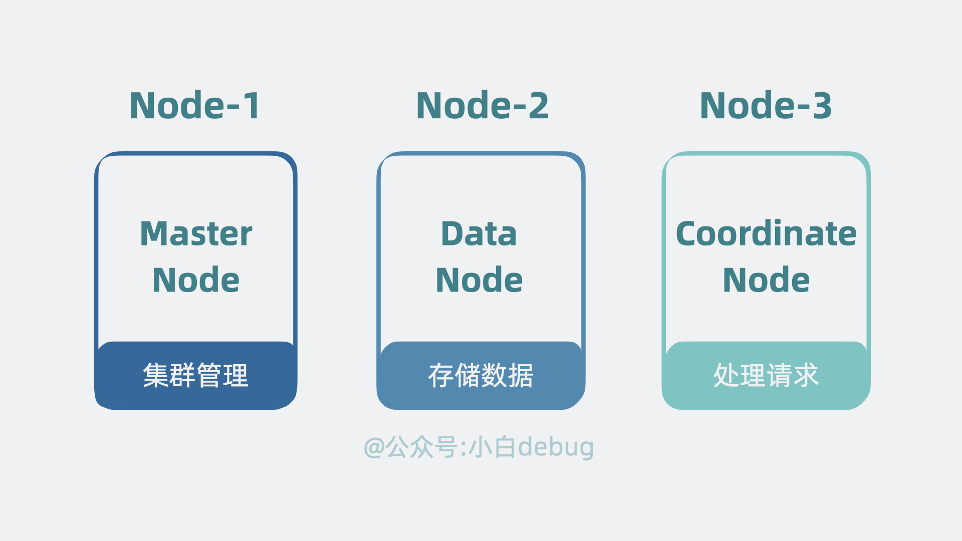 角色分化