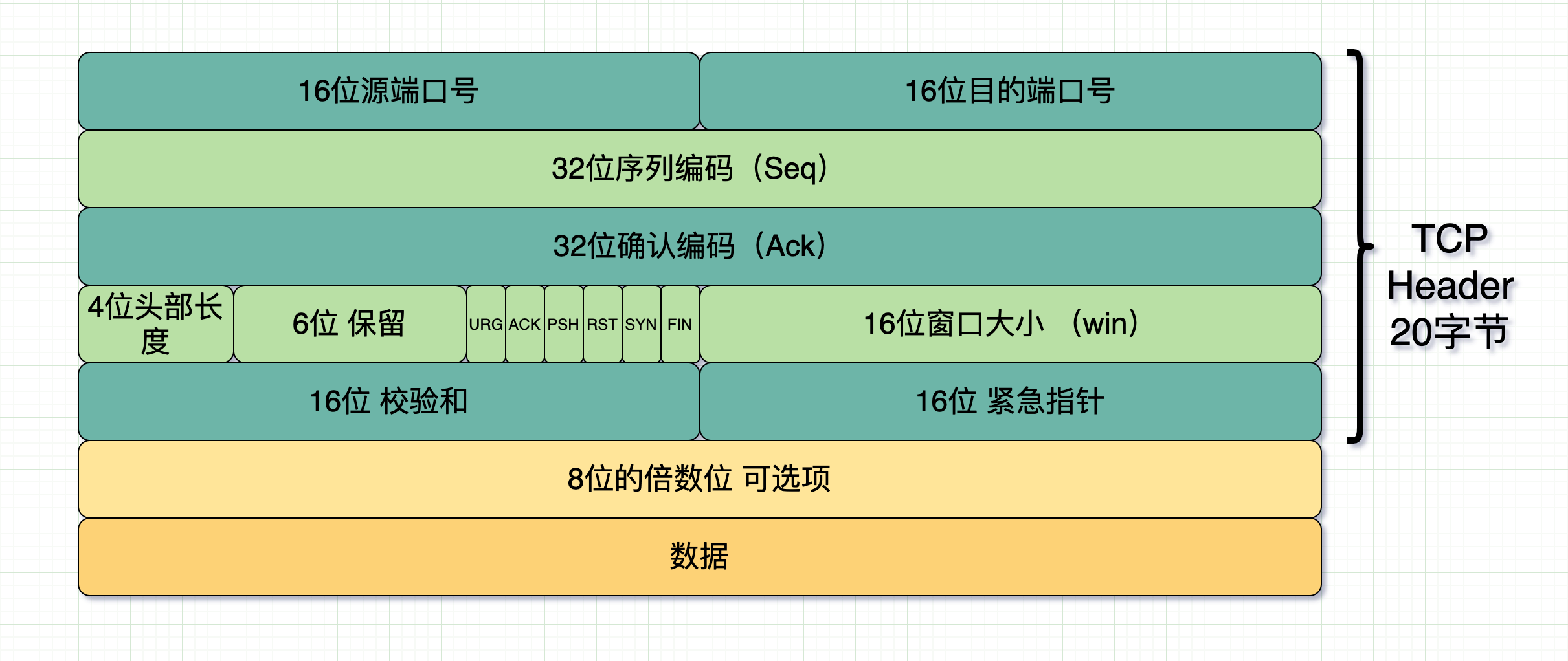 TCP报头