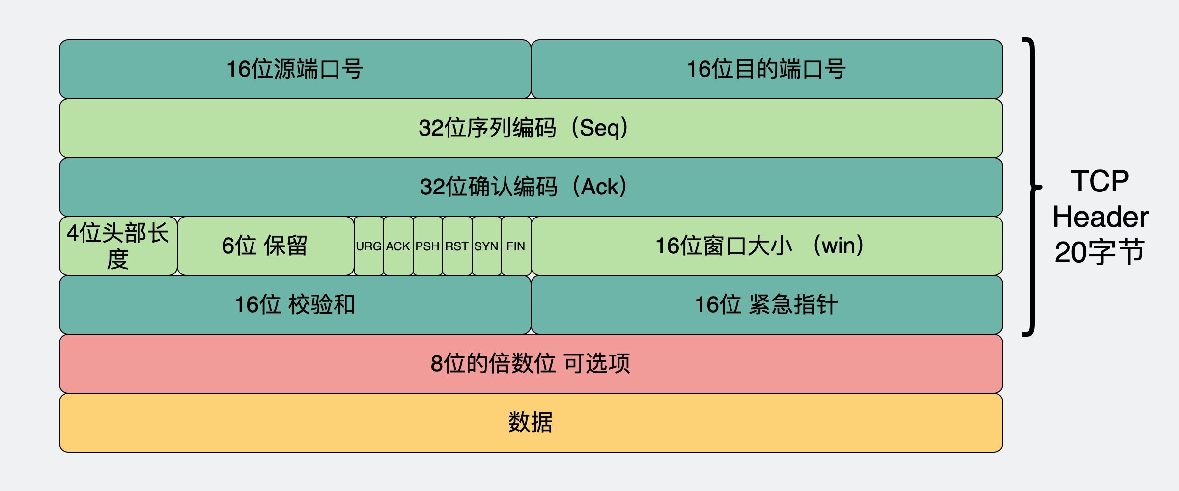 TCP报头